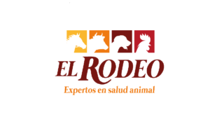 /wp-jobhunt-users/logo-plataforma-el-rodeo-270x203